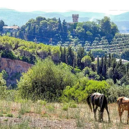 Il Poggetto