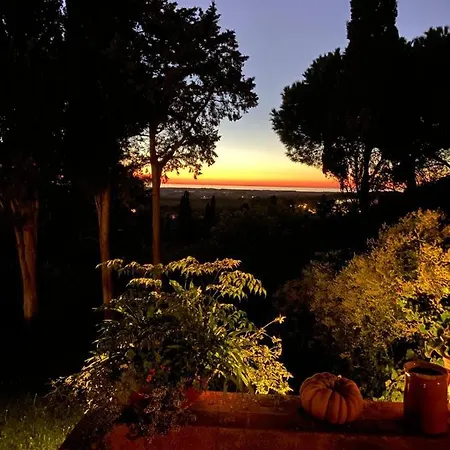 B&B Il Poggetto