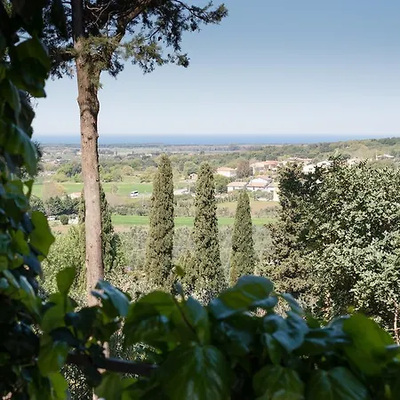 Il Poggetto Venturina Terme