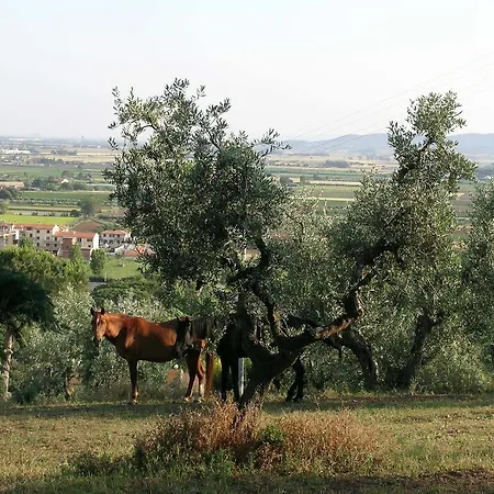 Il Poggetto 3* Venturina Terme