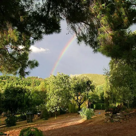 Il Poggetto Venturina Terme